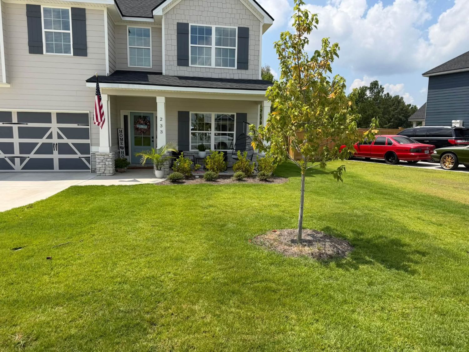Before: plain front lawn with a young tree