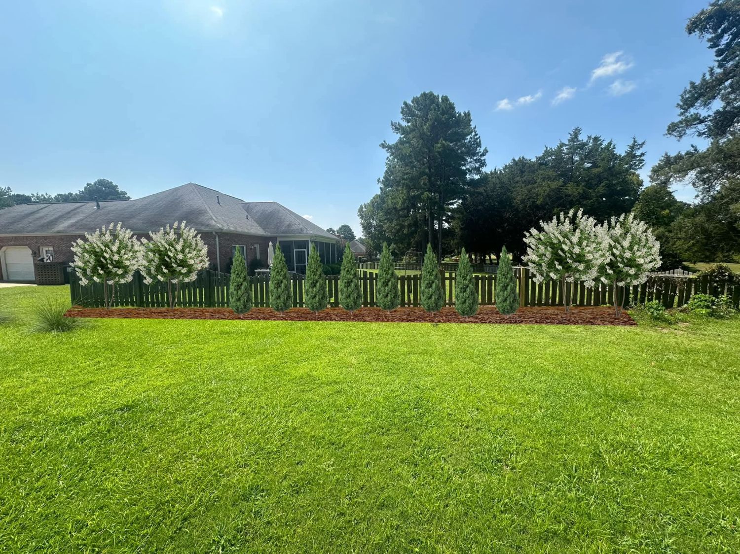 Design rendering: a row of evergreens and white flowering trees along a fence