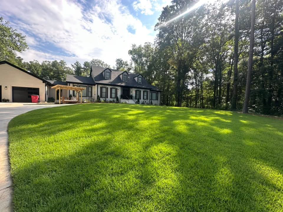 Done: the finished lawn, bright green and glowing in the sun